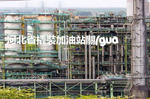 河北省撬裝加油站關(guān)鍵技術(shù)突破！化工廠拆除工程的新方法探索？